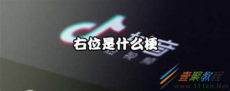 右位 意思|右位是什么意思 右位是什么梗